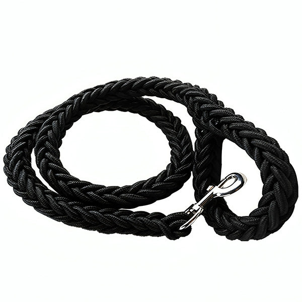 Paracorde laisse pour chien