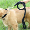 Paracorde laisse pour chien