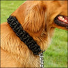 Paracorde collier chien